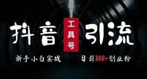 2024最新抖音工具号引流玩法，高效日引300+创业粉，当天变现5k，小白也可成为实战高手-小鸿资源库