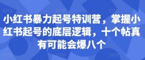 小红书暴力起号特训营,掌握小红书起号的底层逻辑,十个帖真有可能会爆八个-小鸿资源库