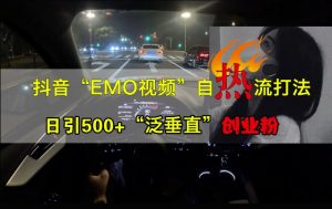 抖音EMO视频自热打法，日引500+“泛垂直”创业粉-小鸿资源库