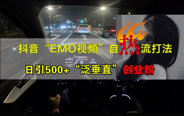 抖音EMO视频自热打法，日引500+“泛垂直”创业粉-小鸿资源库