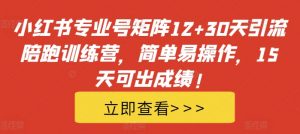 小红书专业号矩阵12+30天引流陪跑训练营，简单易操作，15天可出成绩!-小鸿资源库