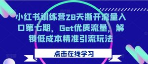 小红书训练营28天撕开流量入口第七期,Get优质流量,解锁低成本精准引流玩法-小鸿资源库