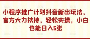 小程序推广计划抖音新出玩法,官方大力扶持,轻松实操,小白也能日入5张【揭秘】-小鸿资源库