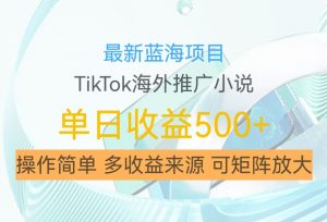 最新蓝海项目,利用tiktok海外推广小说赚钱佣金,简单易学,日入500+,可矩阵放大【揭秘】-小鸿资源库