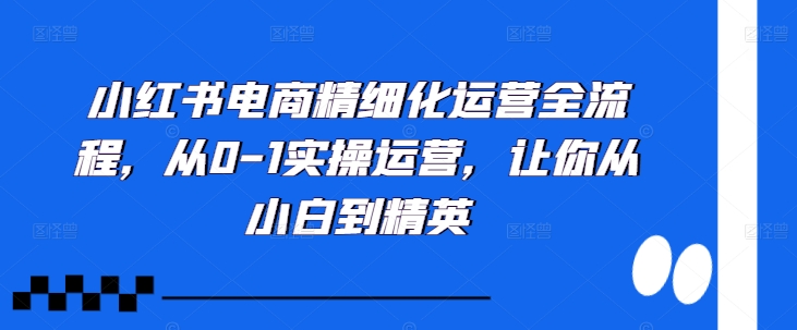 小红书电商精细化运营全流程,从0-1实操运营,让你从小白到精英-小鸿资源库