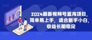 2024最新视频号蓝海项目，简单易上手，适合新手小白，收益长期稳定-小鸿资源库