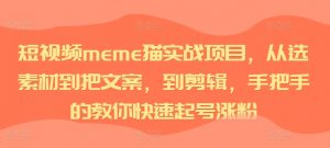 短视频meme猫实战项目，从选素材到把文案，到剪辑，手把手的教你快速起号涨粉-小鸿资源库