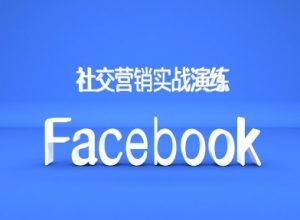 Facebook社交营销实战演练，外贸人绝对不能错过的营销推广平台-小鸿资源库