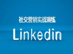 社交营销实战演练之Linkedin营销课程，B2B跨境外贸的新出路-小鸿资源库