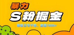 单人单机日引千粉，变现1k+，S粉流量掘金计划攻略【揭秘】-小鸿资源库