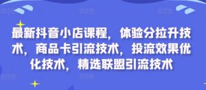 最新抖音小店课程，体验分拉升技术，商品卡引流技术，投流效果优化技术，精选联盟引流技术-小鸿资源库
