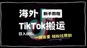 2024最新海外TikTok搬运玩法，一键去重轻松过原创，新手无经验也能日入1k【揭秘】-小鸿资源库