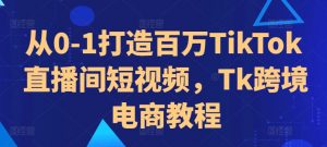 从0-1打造百万TikTok直播间短视频，Tk跨境电商教程-小鸿资源库