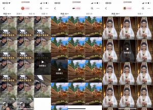 狗熊岭快手连怼技术，好物，涨粉都可以连怼-小鸿资源库