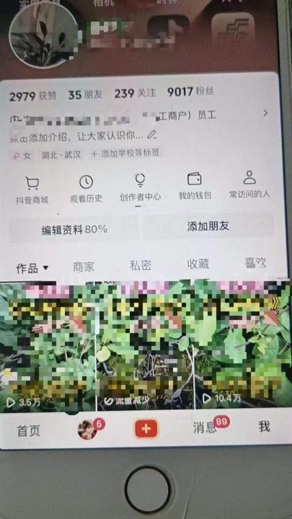 最新抖音暴力起万粉技术，一天涨万粉，发三四个作品涨近万粉-小鸿资源库