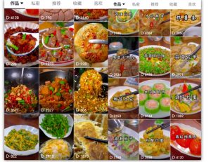 抖音带货美食领域课程，无需真人实拍仅靠剪辑实现涨粉-小鸿资源库