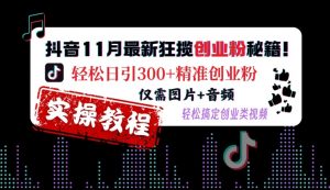 抖音11月最新狂揽创业粉秘籍，轻松日引300+精准创业粉，仅需图片+音频，轻松搞定创业类视频-小鸿资源库
