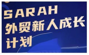 外贸新人成长计划，外贸新人学起来，偷偷让自己变强大-小鸿资源库