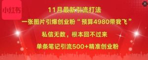小红书11月最新图片打粉，一张图片引爆创业粉，“预算4980带我飞”，单条引流500+精准创业粉-小鸿资源库
