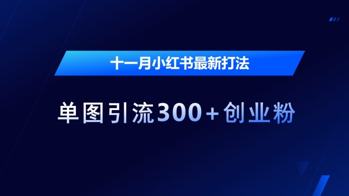 十一月小红书最新打法，单图引流300+创业粉【揭秘】-小鸿资源库