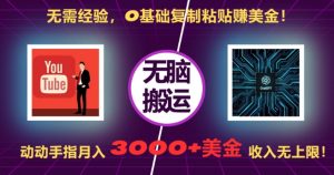 无需经验，0基础复制粘贴赚美刀，动动手指，月入3000+刀，无上限【揭秘】-小鸿资源库