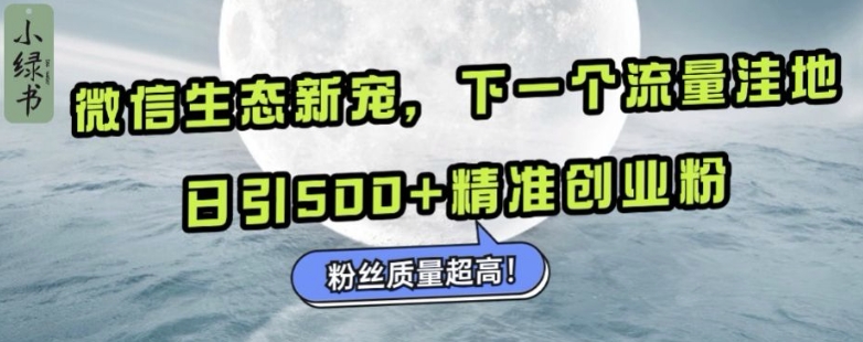 微信生态新宠小绿书：下一个流量洼地，日引500+精准创业粉，粉丝质量超高-小鸿资源库