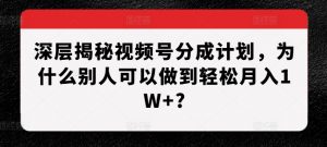 深层揭秘视频号分成计划，为什么别人可以做到轻松月入1W+?-小鸿资源库
