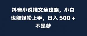 抖音小说推文全攻略,小白也能轻松上手,日入 5张+ 不是梦【揭秘】-小鸿资源库