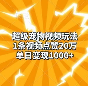 超级宠物视频玩法，1条视频点赞20万，单日变现1k-小鸿资源库
