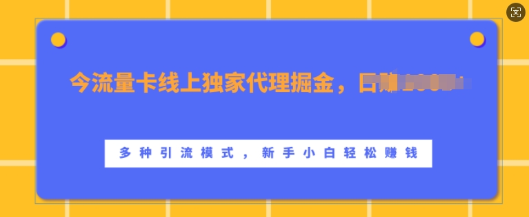 流量卡线上独家代理掘金，日入1k+ ，多种引流模式，新手小白轻松上手【揭秘】-小鸿资源库