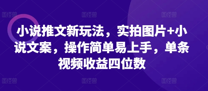 小说推文新玩法，实拍图片+小说文案，操作简单易上手，单条视频收益四位数-小鸿资源库