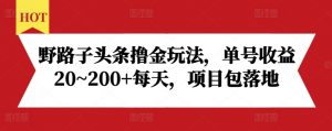 野路子头条撸金玩法，单号收益20~200+每天，项目包落地-小鸿资源库