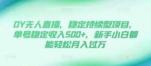 DY无人直播，稳定持续型项目，单号稳定收入500+，新手小白都能轻松月入过万【揭秘】-小鸿资源库