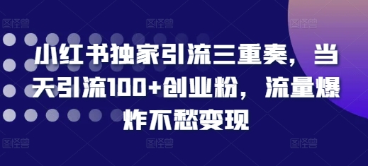 小红书独家引流三重奏，当天引流100+创业粉，流量爆炸不愁变现【揭秘】-小鸿资源库