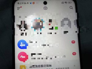 制作100%过原创的美女抖音号，小白轻松上手，日引S粉上百+含金量极高-小鸿资源库