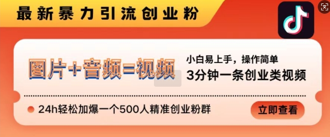 抖音最新暴力引流创业粉，3分钟一条创业类视频，24h轻松加爆一个500人精准创业粉群【揭秘】-小鸿资源库