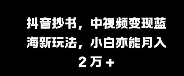 抖音抄书，中视频变现蓝海新玩法，小白亦能月入 过W【揭秘】-小鸿资源库