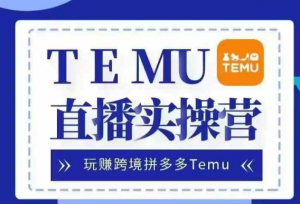 Temu直播实战营,玩赚跨境拼多多Temu,国内电商卷就出海赚美金-小鸿资源库