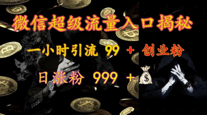 微信超级流量入口揭秘：一小时引流 99 + 创业粉，日涨粉 999 +-小鸿资源库