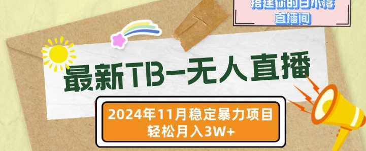 【最新TB-无人直播】11月最新，打造你的日不落直播间，轻松月入过W【揭秘】-小鸿资源库