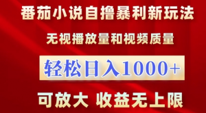番茄小说自撸暴利新玩法，无视播放量，轻松日入1k，可放大，收益无上限【揭秘】-小鸿资源库