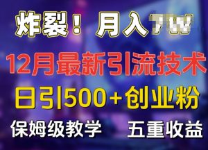 炸裂!揭秘12月最新日引流500+精准创业粉，多重收益保姆级教学-小鸿资源库
