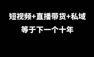 短视频+直播带货+私域等于下一个十年，大佬7年实战经验总结-小鸿资源库