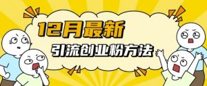 12月最新引流创业粉方法，方法非常简单，适用于多平台-小鸿资源库