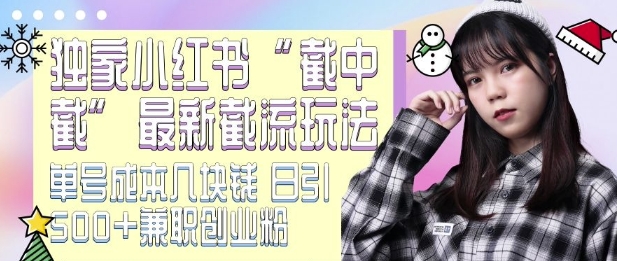 最新小红书截流玩法 独家截中截 单号成本几块钱 日引500+CY粉JZ粉-小鸿资源库