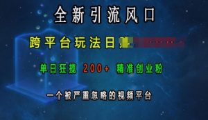 全新引流风口,跨平台玩法日入上k,单日狂揽200+精准创业粉,一个被严重忽略的视频平台-小鸿资源库