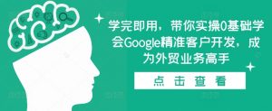学完即用，带你实操0基础学会Google精准客户开发，成为外贸业务高手-小鸿资源库