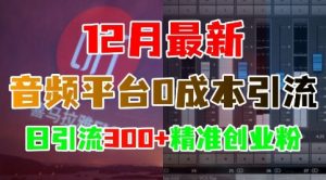 12月最新：音频平台0成本引流，日引流300+精准创业粉-小鸿资源库