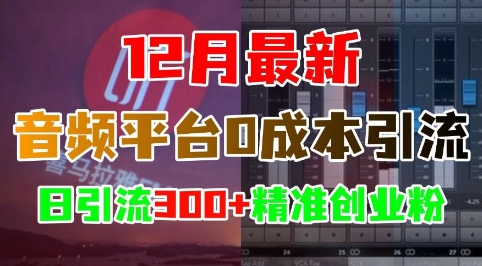 12月最新:音频平台0成本引流,日引流300+精准创业粉-小鸿资源库