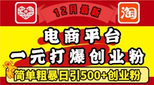12月最新：电商平台1元打爆创业粉，简单粗暴日引500+精准创业粉，轻松月入过W【揭秘】-小鸿资源库